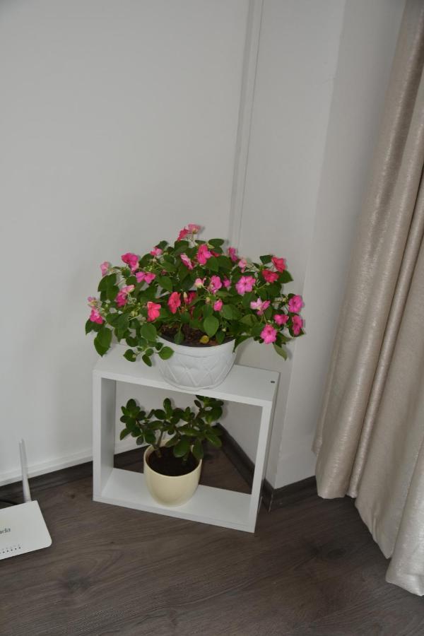 Blue Corner Apartment Скопье Экстерьер фото